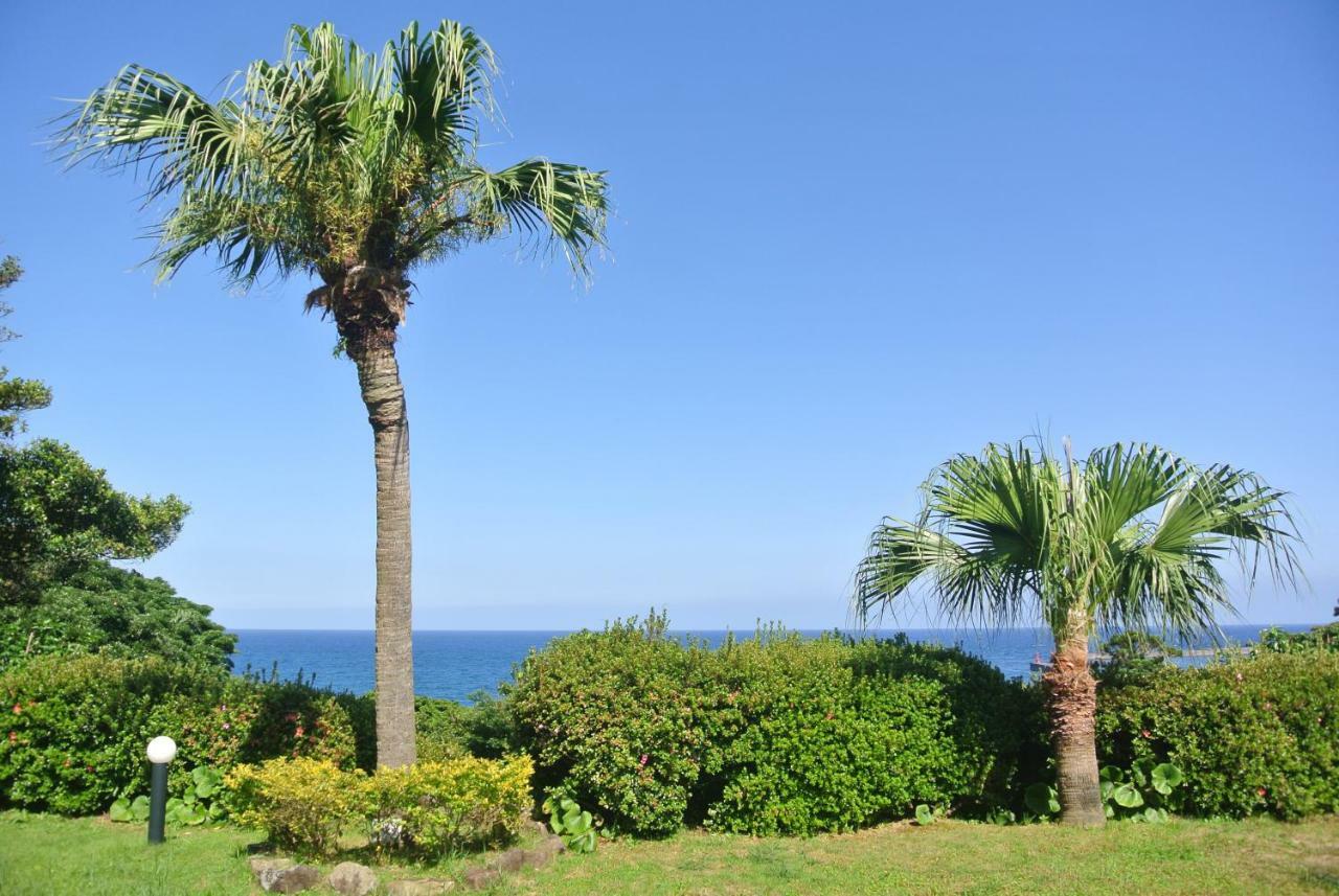 Yakushima Green Hotel Exterior photo
